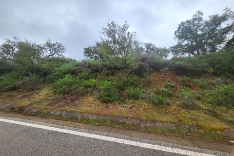 Terra a Borba, Evora, Borba - € 110.000 | Ref: JG1921 - foto 20