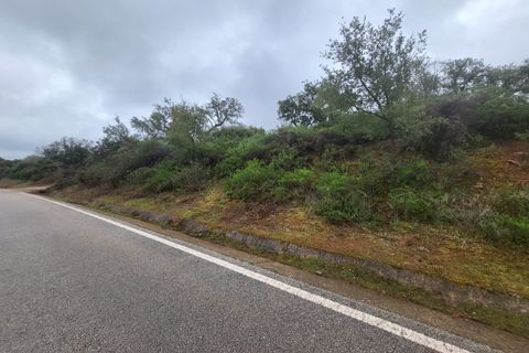 Terra a Borba, Evora, Borba - € 110.000 | Ref: JG1921 - foto 22