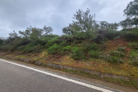 Terra a Borba, Evora, Borba - € 110.000 | Ref: JG1921 - foto 23