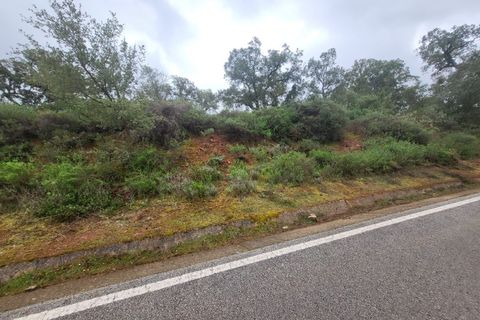 Terra a Borba, Evora, Borba - € 110.000 | Ref: JG1921 - foto 24