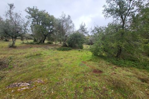 Terra a Borba, Evora, Borba - € 110.000 | Ref: JG1921 - foto 26