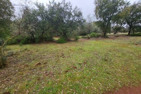 Terra a Borba, Evora, Borba - € 110.000 | Ref: JG1921 - foto 27