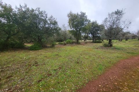 Terra a Borba, Evora, Borba - € 110.000 | Ref: JG1921 - foto 29