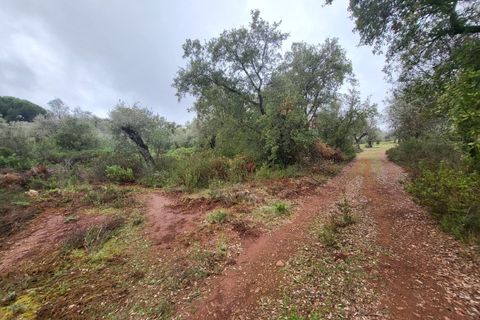 Terra a Borba, Evora, Borba - € 110.000 | Ref: JG1921 - foto 30