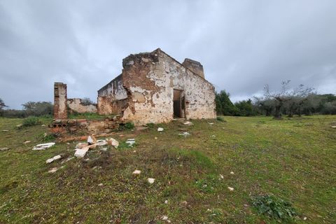 Terra a Borba, Evora, Borba - € 110.000 | Ref: JG1921 - foto 37