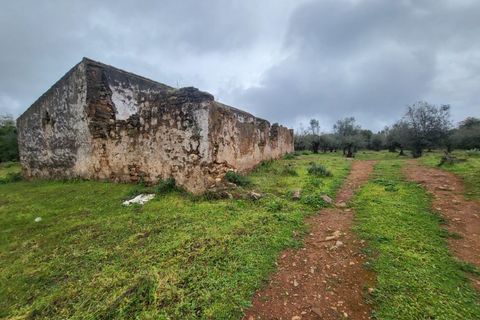 Terra a Borba, Evora, Borba - € 110.000 | Ref: JG1921 - foto 38