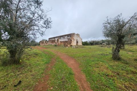 Terra a Borba, Evora, Borba - € 110.000 | Ref: JG1921 - foto 39