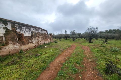Terra a Borba, Evora, Borba - € 110.000 | Ref: JG1921 - foto 40