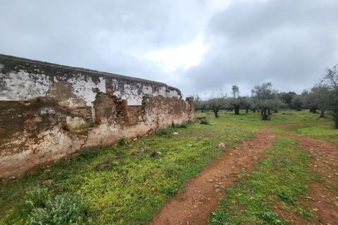 Terra a Borba, Evora, Borba - € 110.000 | Ref: JG1921 - foto 41