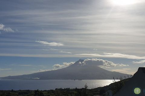 Byhus i Horta, Faial, Horta - € 155.000 | Ref: 1137 - foto 9