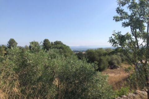 Finca i Ginestar, Tarragona, Ginestar - € 49.000 | Ref: Dd - foto 18