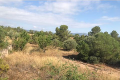 Finca i Ginestar, Tarragona, Ginestar - € 49.000 | Ref: Dd - foto 19