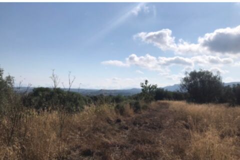 Finca i Ginestar, Tarragona, Ginestar - € 49.000 | Ref: Dd - foto 17