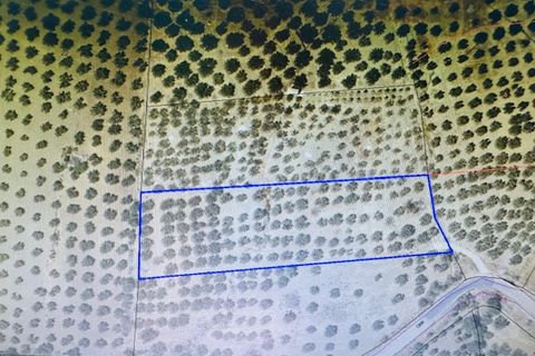 Finca i Mondron, Malaga, Mondron - € 26.000 | Ref: ID4388 - foto 4
