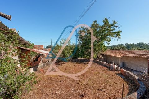 Villa a Ourem, Santarem, Ourem - € 85.000 | Ref: CV11013-19 - foto 7