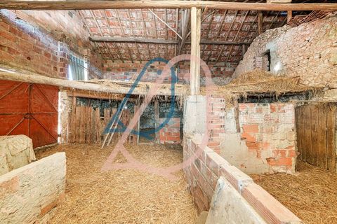 Villa a Ourem, Santarem, Ourem - € 85.000 | Ref: CV11013-19 - foto 10