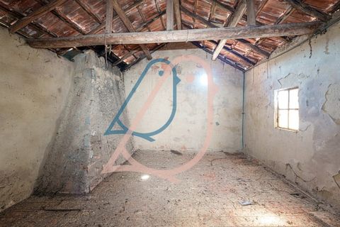 Villa a Ourem, Santarem, Ourem - € 85.000 | Ref: CV11013-19 - foto 19