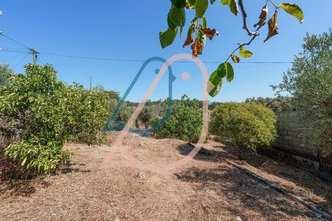 Villa a Ourem, Santarem, Ourem - € 85.000 | Ref: CV11013-19 - foto 32