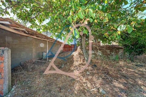 Villa a Ourem, Santarem, Ourem - € 85.000 | Ref: CV11013-19 - foto 33