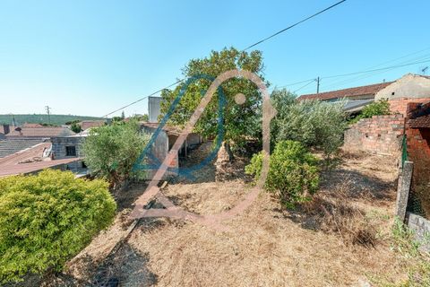 Villa a Ourem, Santarem, Ourem - € 85.000 | Ref: CV11013-19 - foto 35