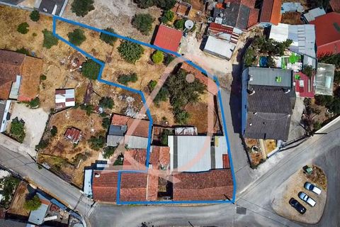 Villa a Ourem, Santarem, Ourem - € 85.000 | Ref: CV11013-19 - foto 39