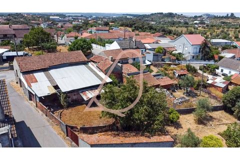 Villa a Ourem, Santarem, Ourem - € 85.000 | Ref: CV11013-19 - foto 46