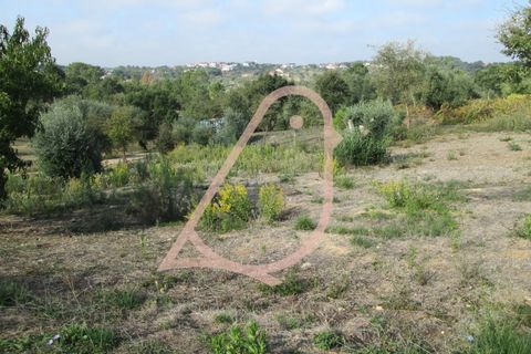 Helårsgrund i Ourem, Santarem, Ourem - € 35.000 | Ref: CV11010-152 - foto 3