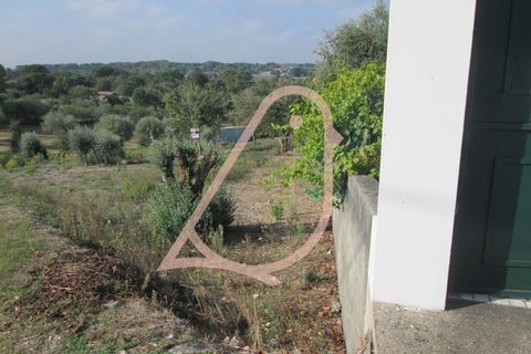 Helårsgrund i Ourem, Santarem, Ourem - € 35.000 | Ref: CV11010-152 - foto 4