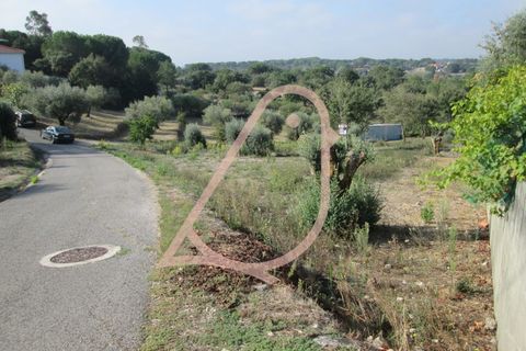 Helårsgrund i Ourem, Santarem, Ourem - € 35.000 | Ref: CV11010-152 - foto 5