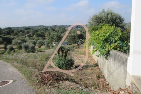 Helårsgrund i Ourem, Santarem, Ourem - € 35.000 | Ref: CV11010-152 - foto 6