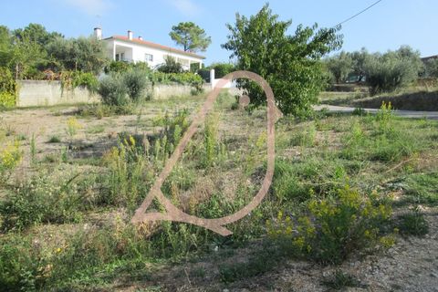 Helårsgrund i Ourem, Santarem, Ourem - € 35.000 | Ref: CV11010-152 - foto 7