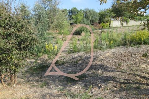 Helårsgrund i Ourem, Santarem, Ourem - € 35.000 | Ref: CV11010-152 - foto 10