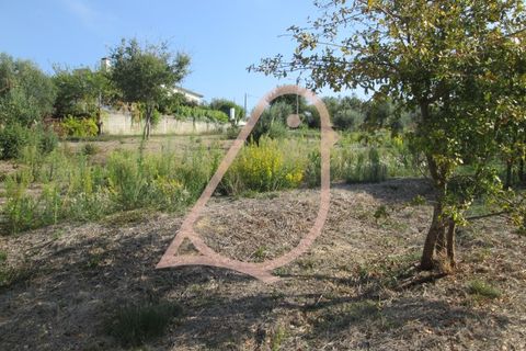 Helårsgrund i Ourem, Santarem, Ourem - € 35.000 | Ref: CV11010-152 - foto 11