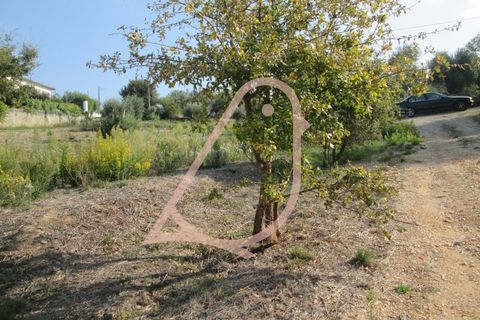 Helårsgrund i Ourem, Santarem, Ourem - € 35.000 | Ref: CV11010-152 - foto 12
