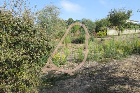 Helårsgrund i Ourem, Santarem, Ourem - € 35.000 | Ref: CV11010-152 - foto 13