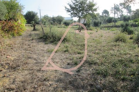 Helårsgrund i Ourem, Santarem, Ourem - € 35.000 | Ref: CV11010-152 - foto 14