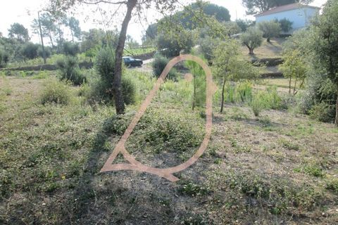 Helårsgrund i Ourem, Santarem, Ourem - € 35.000 | Ref: CV11010-152 - foto 15