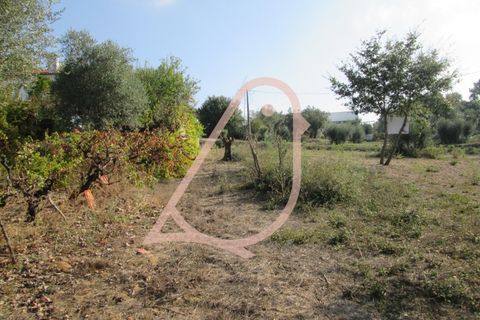 Helårsgrund i Ourem, Santarem, Ourem - € 35.000 | Ref: CV11010-152 - foto 16