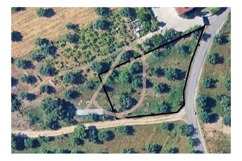 Helårsgrund i Ourem, Santarem, Ourem - € 35.000 | Ref: CV11010-152 - foto 17