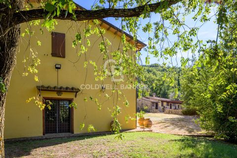 Landejendom i Gubbio, Perugia, Gubbio - € 620.000 | Ref: CBI160-2598-100 - foto 3