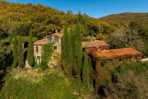Villa a Cortona, Arezzo, Cortona - € 1.490.000 | Ref: CBI160-2553-140 - foto 2