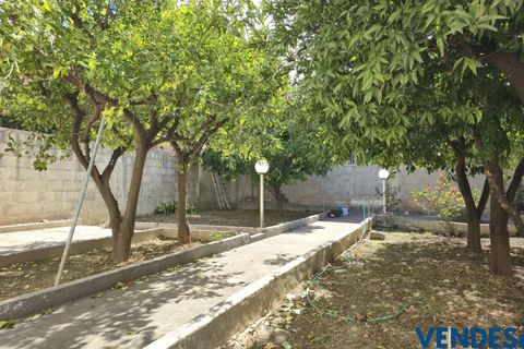 Villa i Adelfia, Bari, Adelfia - € 200.000 | Ref: M226 - foto 20