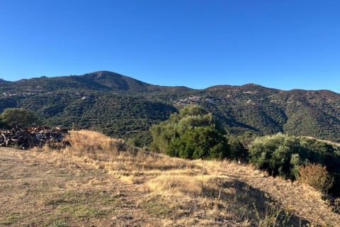 Terra a Aregno, Haute-Corse, Aregno - € 550.000 | Ref: A6014 - foto 2