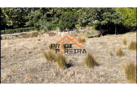 Helårsgrund i Odivelas, Lisbon, Odivelas - € 1.300.000 | Ref: PP5724 - foto 10