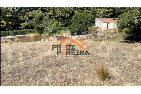 Helårsgrund i Odivelas, Lisbon, Odivelas - € 1.300.000 | Ref: PP5724 - foto 12