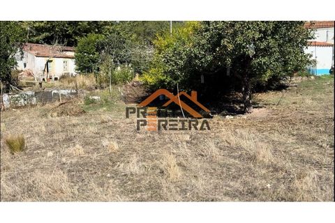 Helårsgrund i Odivelas, Lisbon, Odivelas - € 1.300.000 | Ref: PP5724 - foto 14