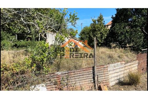 Helårsgrund i Odivelas, Lisbon, Odivelas - € 1.300.000 | Ref: PP5724 - foto 16