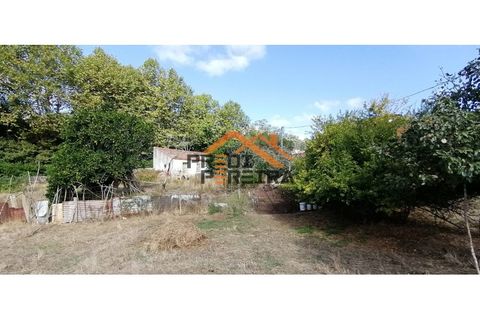 Helårsgrund i Odivelas, Lisbon, Odivelas - € 1.300.000 | Ref: PP5724 - foto 23