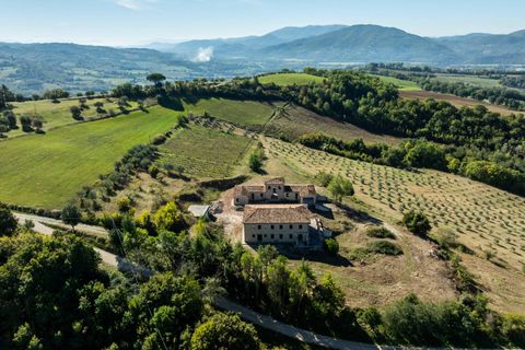 Landejendom i Umbertide, Perugia, Umbertide - € 1.280.000 | Ref: CBI134-2230-215 - foto 3