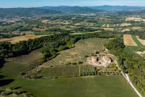 Landejendom i Umbertide, Perugia, Umbertide - € 1.280.000 | Ref: CBI134-2230-215 - foto 26